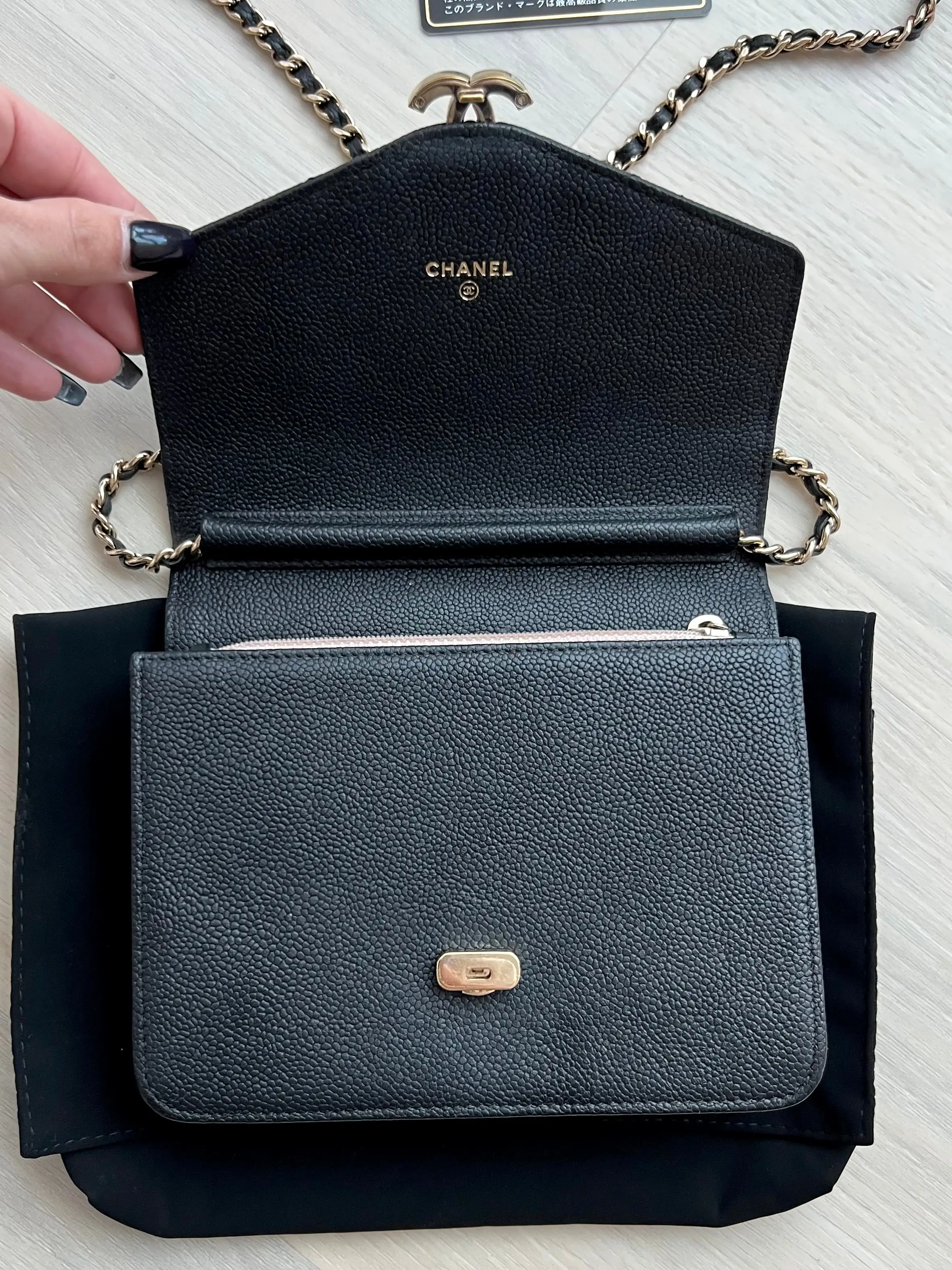 Chanel Seasonal Wallet On Chain Bag