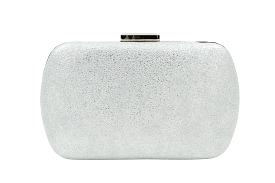 FABUCCI silver box clutch bag