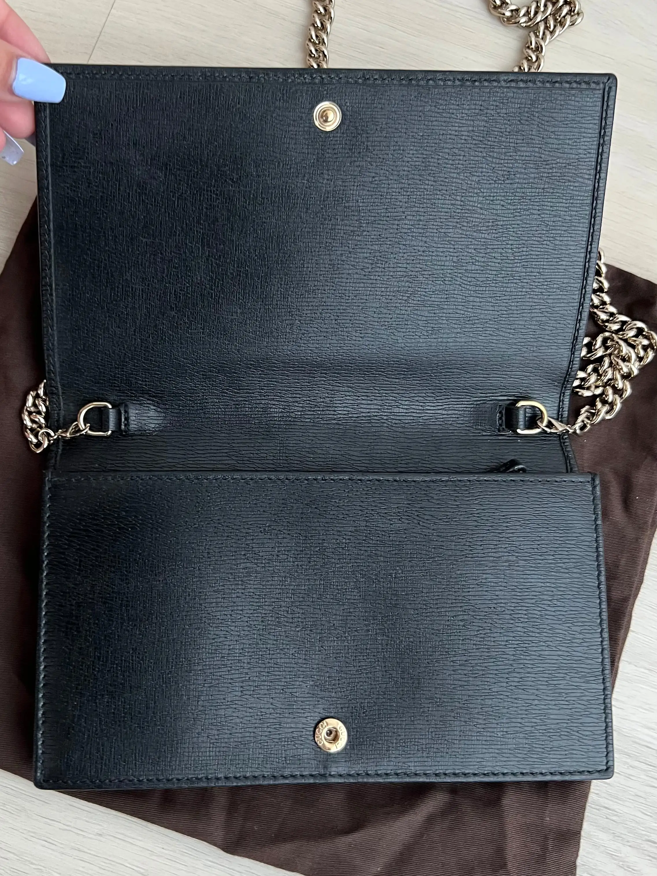 Gucci Wallet on Chain Bag