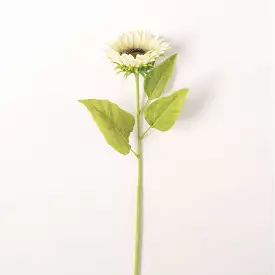 Sunflower Stem