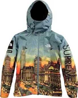 Supreme x The North Face Skyline Day Summit Jacket