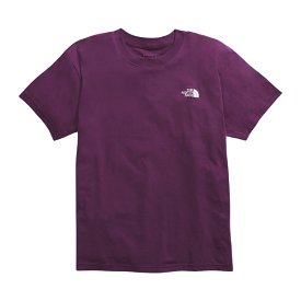 The North Face Men’s Short-Sleeve Evolution Box Fit Tee - Black Curran Purple